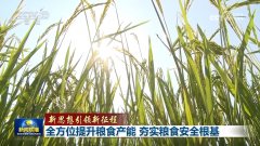 到若何提高农人种粮积极性