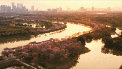 正在里面起来 正在里面起来